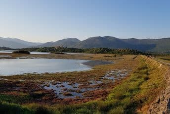 Projekcija filma „Raširi krila“ povodom Međunarodnog dana močvarnih staništa Projekcija filma „Raširi krila“ povodom Međunarodnog dana močvarnih staništa