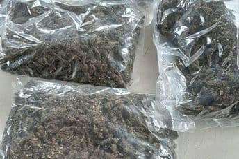 Službenik UIKS-a švercovao 150 kg marihuane Službenik UIKS-a švercovao 150 kg marihuane