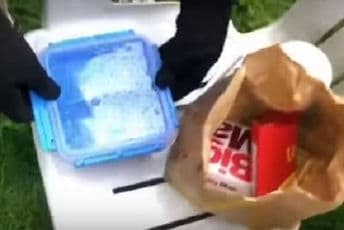 Zakopao hamburger sa šejkom i pomfritom u vrt i to pojeo nakon 14 mjeseci Zakopao hamburger sa šejkom i pomfritom u vrt i to pojeo nakon 14 mjeseci