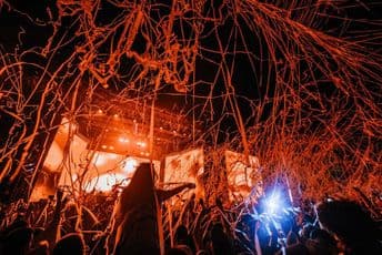 SDF: Planulo 7.000 ulaznica za samo devet sati! Foto: SDF