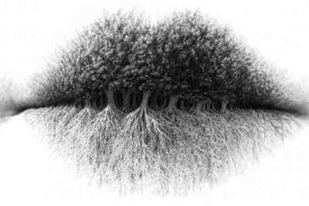 Pogledajte fotografiju: Ono što prvo vidite puno govori o vama FOTO: FACEBOOK