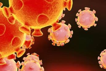 Ministarstvo prosvjete: Ne putujte u Italiju! Ministarstvo prosvjete: Ne putujte u Italiju!