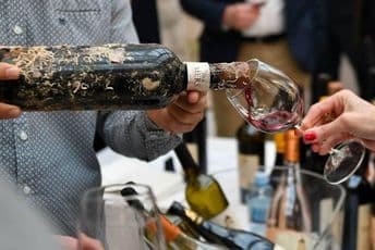 Na drugom Salonu vina 25 izlagača iz regiona, Italije i Francuske sajam vina