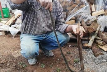 Uhvaćena zmija na Zabjelu Uhvaćena zmija na Zabjelu