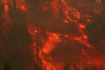 Svjedok katastrofe Svjedok katastrofe