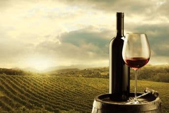 Podrška za bolje pozicioniranje crnogorskih vina na tržištu Podrška za bolje pozicioniranje crnogorskih vina na tržištu