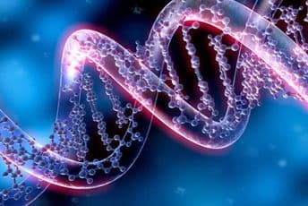 Genetikom protiv magle i zabluda Genetikom protiv magle i zabluda