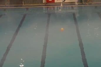 Haos na bazenu "Dragan Trifunović": Sukob policije i navijača Partizana Haos na bazenu "Dragan Trifunović": Sukob policije i navijača Partizana