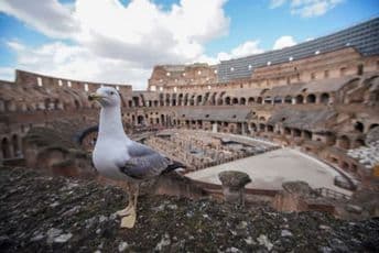 Italijanski gradovi pusti, korona virus rastjerao turiste Italijanski gradovi pusti, korona virus rastjerao turiste