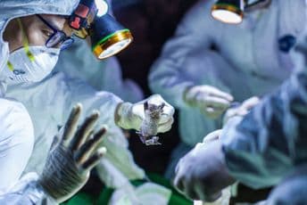 Drugi slučaj koronavirusa u Srbiji, zaražen kineski državljanin Drugi slučaj koronavirusa u Srbiji, zaražen kineski državljanin