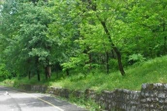 Zatvaraju se park šume na Gorici i Ljuboviću, kao i trim staza u Tološima Zatvaraju se park šume na Gorici i Ljuboviću, kao i trim staza u Tološima