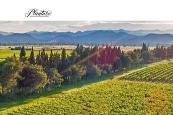 Plantaže donirale alkohol zdravstvenim ustanovama Plantaže donirale alkohol zdravstvenim ustanovama