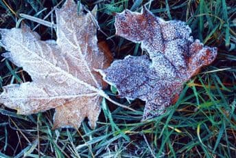 Od ponedjeljka velika promjena vremena: Kiša, snijeg i drastičan pad temperature Od ponedjeljka velika promjena vremena: Kiša, snijeg i drastičan pad temperature