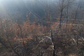 CEDIS: Dalekovodi ugroženi, građani da se suzdrže od paljenja livada CEDIS: Dalekovodi ugroženi, građani da se suzdrže od paljenja livada