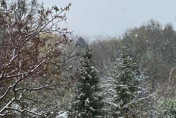 Sjutra u većem dijelu zemlje snijeg Sjutra u većem dijelu zemlje snijeg