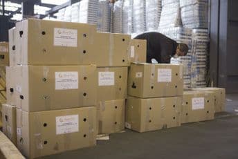 NVO Razvoj Vranj obezbijedila 220 paketa pomoći za mještane NVO Razvoj Vranj obezbijedila 220 paketa pomoći za mještane