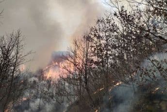 Ugašen veliki požar u Morači Ugašen veliki požar u Morači