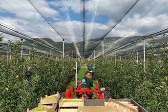 Korona će povećati potražnju za domaćim proizvodima Korona će povećati potražnju za domaćim proizvodima