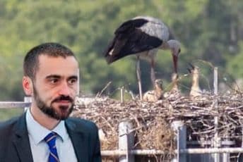 Vlahović: NKT da koriguje odluku u interesu vlasnika kućnih ljubimaca Vlahović: NKT da koriguje odluku u interesu vlasnika kućnih ljubimaca