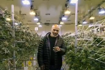 Tajson od uzgajanja marihuane mjesečno zaradi milion dolara (VIDEO) Tajson od uzgajanja marihuane mjesečno zaradi milion dolara (VIDEO)