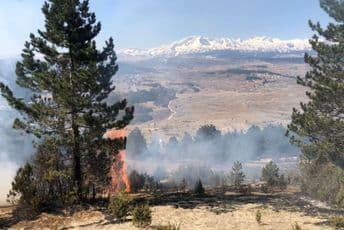 MUP: Aktivno 20 požara, stambeni objekti nijesu ugroženi MUP: Aktivno 20 požara, stambeni objekti nijesu ugroženi