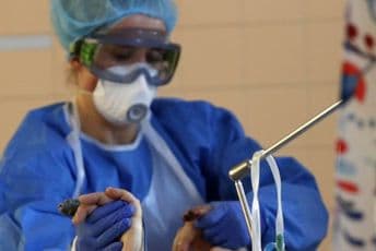 Češka uspjela da zaustavi širenje epidemije, počinje postepeni povratak u normalu Češka uspjela da zaustavi širenje epidemije, počinje postepeni povratak u normalu