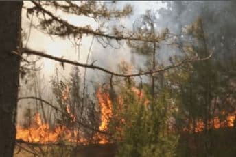 Pljevlja: Bukte požari, intervenisali avioni i helikopteri MUP-a Pljevlja: Bukte požari, intervenisali avioni i helikopteri MUP-a