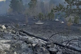 CEDIS: Ugroženi elektodistributivni objekti usljed požara CEDIS: Ugroženi elektodistributivni objekti usljed požara