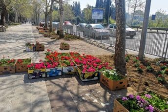 Lejla Mićković: Nadam se da će građani znati da cijene naš trud i rad Lejla Mićković: Nadam se da će građani znati da cijene naš trud i rad