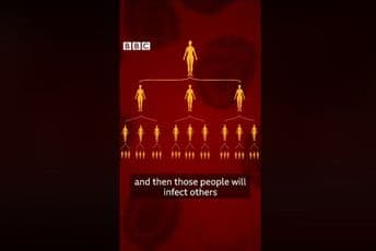 BBC uz pomoć animacije pokazao zašto je važno ostati doma (VIDEO) BBC uz pomoć animacije pokazao zašto je važno ostati doma (VIDEO)