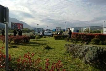 Kotor: Otuđena 81 sadnica Kotor: Otuđena 81 sadnica