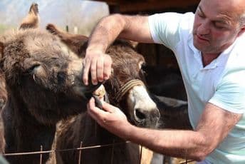 Farma magaraca u Martinićima slavi 5. rođendan: U CG danas nema više od 150 jedinki te životinjske vrste