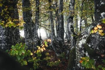 Koalicija 27: Realizacija obaveza iz Poglavlja 27 spora uz često prolongiranje rokova, neophodan veći napor