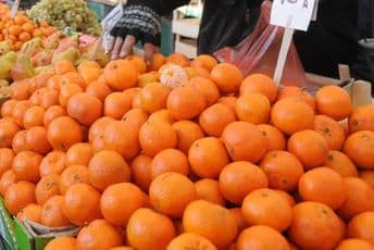 Kosovo privremeno zabranilo uvoz mandarina iz Albanije