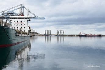 Stigla pšenica iz Francuske Stigla pšenica iz Francuske
