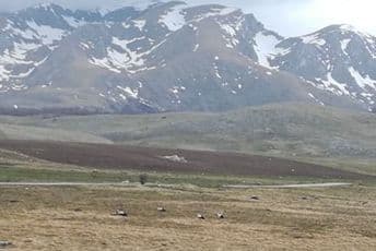 Rode stigle i na Žabljak, dočekao ih snijeg Rode stigle i na Žabljak, dočekao ih snijeg