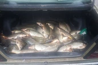 Kontrola nelegalnog ribolova zajednička odgovornost Kontrola nelegalnog ribolova zajednička odgovornost