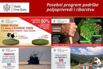 Krediti do 20.000 eura, kamatu tokom grejs perioda uplatiće Vlada Krediti do 20.000 eura, kamatu tokom grejs perioda uplatiće Vlada