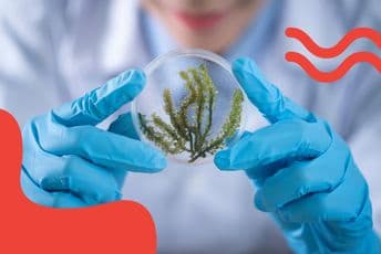 Šta naša djeca mogu naučiti od crnogorskih naučnika? Šta naša djeca mogu naučiti od crnogorskih naučnika?