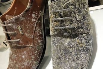 Malezijski šoping centri otvoreni nakon 2 mjeseca, zaposlene dočekale užasne scene Malezijski šoping centri otvoreni nakon 2 mjeseca, zaposlene dočekale užasne scene