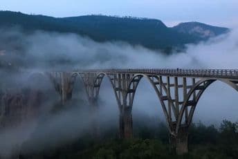 Drvoprerađivači za sjutra najavili blokadu puta Pljevlja - Đurđevića Tara Ilustracija