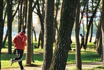 Glavni grad: Za uređenje park šume Tološi 800.000 eura Glavni grad: Za uređenje park šume Tološi 800.000 eura