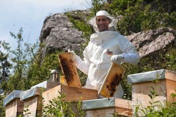 Porodična tradicija pretočena u uspješnu pčelarsku priču