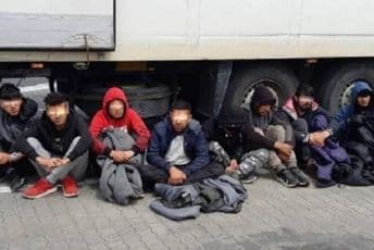 Srbija: Migranti otkriveni u tovaru kupusa Srbija: Migranti otkriveni u tovaru kupusa