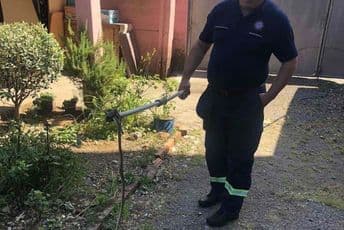 U blizini podgoričkog restorana uhvaćena zmija U blizini podgoričkog restorana uhvaćena zmija