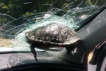 Mislila da joj prema autu leti cigla pa ostala u još većem šoku kad je vidjela šta je Mislila da joj prema autu leti cigla pa ostala u još većem šoku kad je vidjela šta je