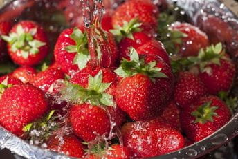 Neke uvozne sorte jeftinije od domaćih: Jagode iz Grčke koštaju pet, a one iz Kokota sedam eura Neke uvozne sorte jeftinije od domaćih: Jagode iz Grčke koštaju pet, a one iz Kokota sedam eura