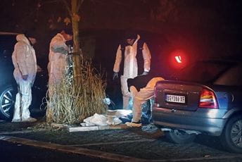 Pomorca iz Crne Gore na Bežanijskoj kosi ubio isti muškarac koji je izrešetao Zvicera Pomorca iz Crne Gore na Bežanijskoj kosi ubio isti muškarac koji je izrešetao Zvicera