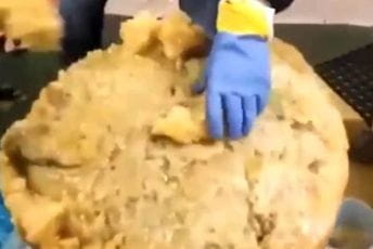 Rekordna zaplijena u Poljskoj - tri tone kokaina u smrznutom ananasu (VIDEO) Rekordna zaplijena u Poljskoj - tri tone kokaina u smrznutom ananasu (VIDEO)