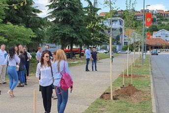 U akciji Moje drvo za Planetu zasađene 22 sadnice platana U akciji Moje drvo za Planetu zasađene 22 sadnice platana